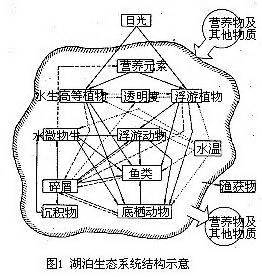 淡水做什么生意好吗,乡镇做什么生意好