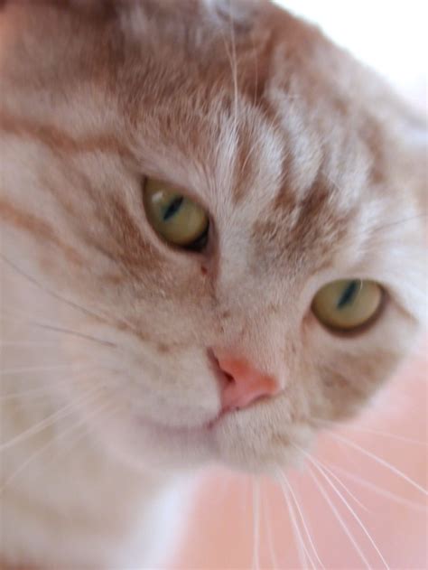 索尼微单穷人三宝镜头,&quot;resultNum&quot;:&quot;5603&quot;