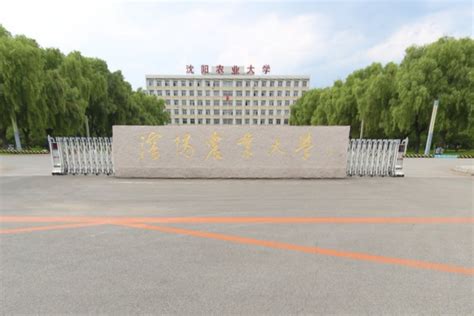 沈阳大学是什么大学,沈阳大学是什么档次