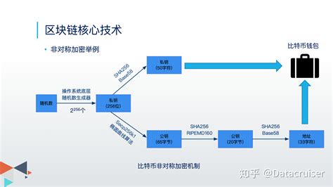 到底啥是比特币,比特币是什么