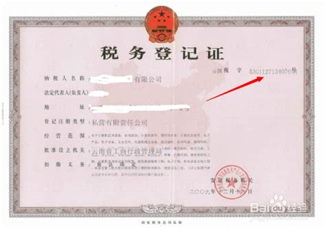 开发票怎么查询企业税号,怎么查询企业的税号