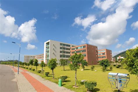 东北什么大学是985吗,东北电力大学是一本大学吗