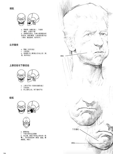 素描基础画什么图形,素描为什么是美术的基础