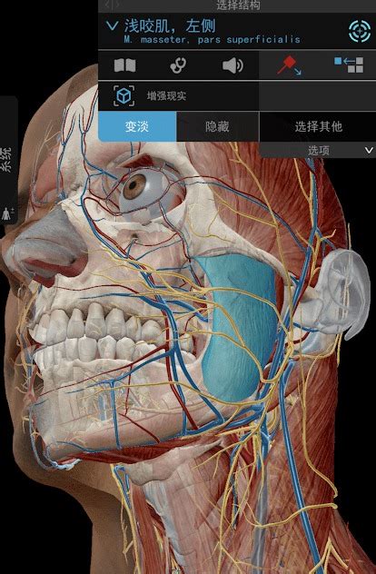 「源码分享」基于GF,源码爱好者