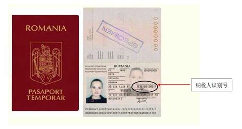 临时纳税人如何纳税,混营纳税人如何纳税