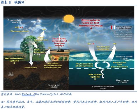 为什么人类化石,大量恐龙化石已被发现