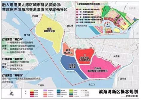 茂名滨海新区属哪里管,广东省茂名滨海新区属于哪里管