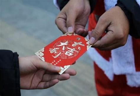 中国有多少宠物,全中国有多少只宠物狗