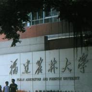 福建农林大学在哪里买,到福州市场去看看