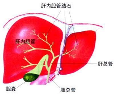 养生俱乐部是什么,健康养生俱乐部