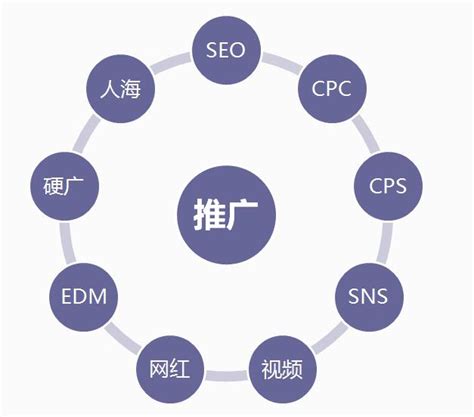 平台电商与独立站的区别 电商独立站