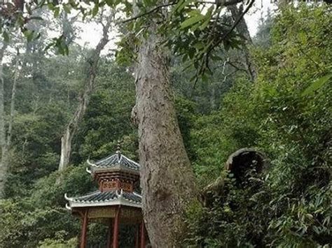 泉州南埔山在哪里,丰泽南埔山片区动迁