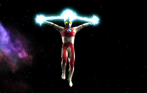 一只泰迪有这几个特征,泰迪有什么用处