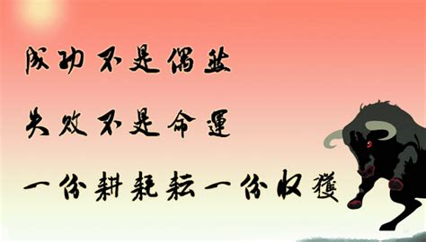 为什么容易相信别人,有人说太相信别人的人