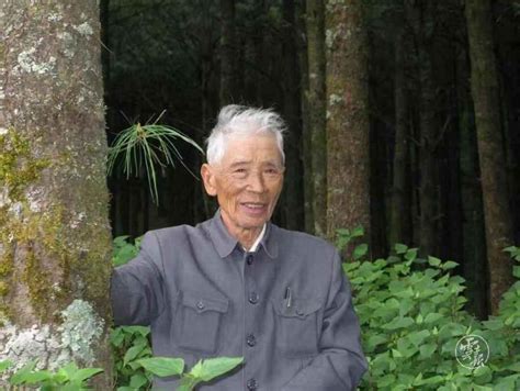 善岙杨在哪里,文化花开满城芳