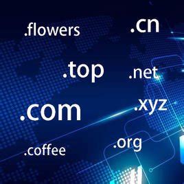 域名服务器的作用,DNS服务器的作用是什么