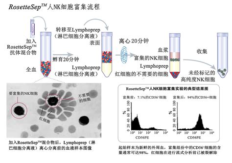 电感和磁珠选型与应用,磁珠的作用