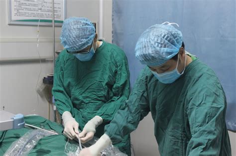 中国最好大学排名,软科排名官网