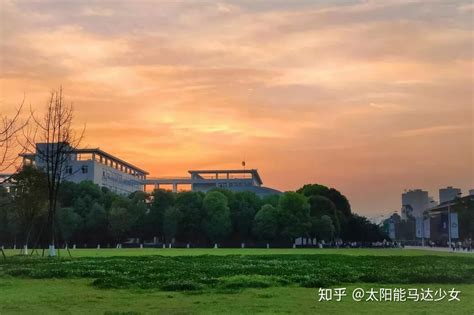 湖北537上什么大学,可以报考湖北哪些大学