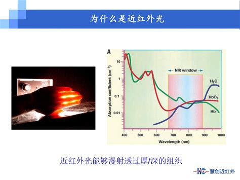 埋线针灸的原理,针灸原理