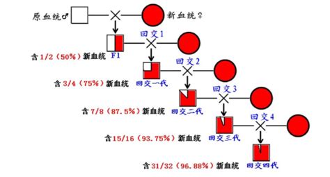 为血统纯正近亲结婚,什么家族是近亲结婚