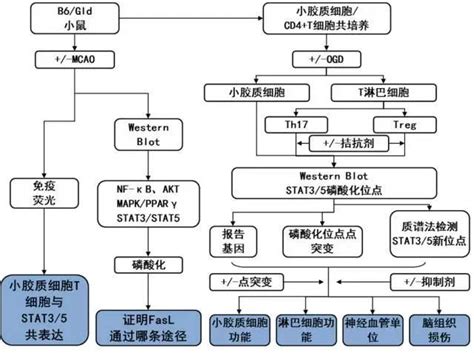 标书怎么做的,怎么制作投标书