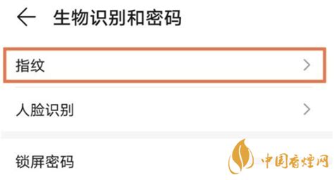鲸鱼为什么潜那么深,什么鲸鱼能潜入万米深