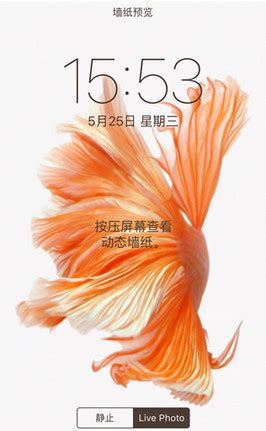 4g卡为什么在,在打电话时就显示是3G网络