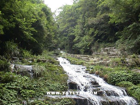 阜平县到槐树庄西多少路,打卡阜平最美春色