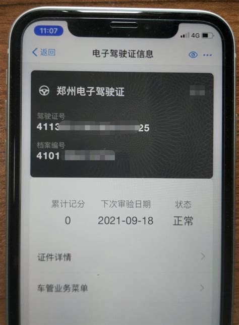 支付宝电子驾照在哪里,支付宝里的电子驾驶证