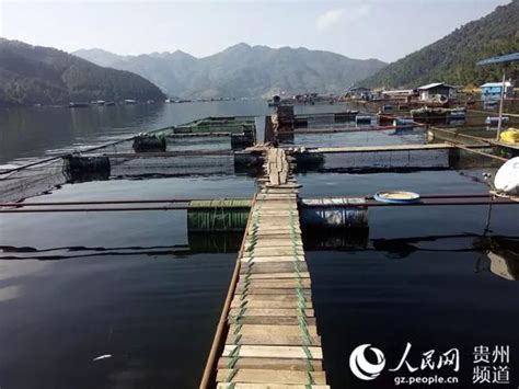 芭蕉湖在哪里,黄达江沿芭蕉湖开展巡湖