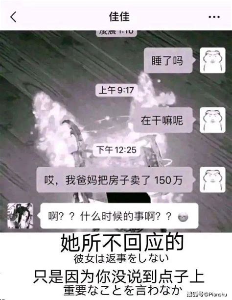 狗舔人的手代表什么,狗狗舔人的秘密