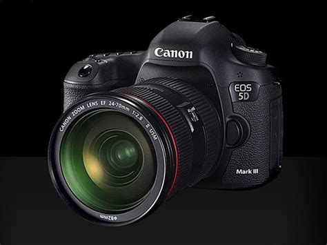 5d4价格,5D4价格为何这么高