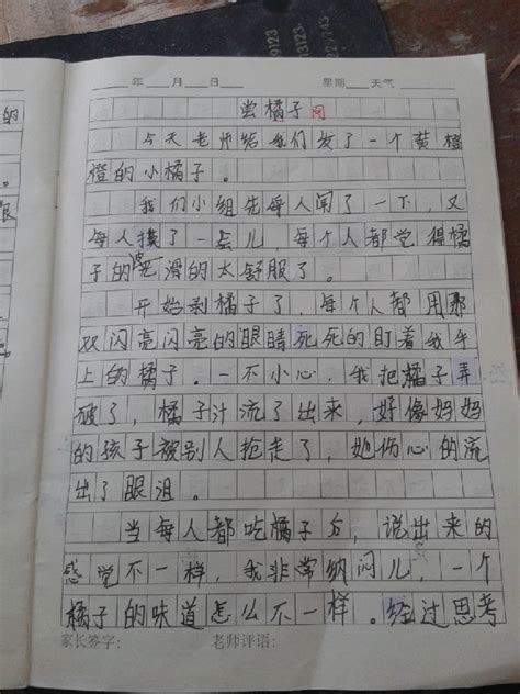 山东满分作文《有你,小学生作文你最大的优点是什么