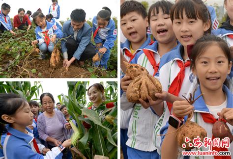 于都农粮局在哪里,他们问题出在……