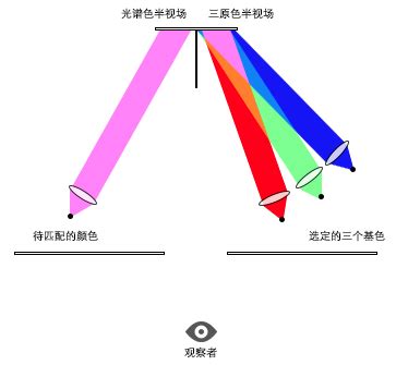 鱼在电影中的含义是什么,电影中颜色的含义是什么