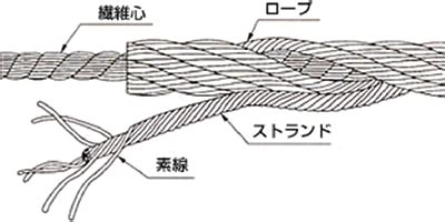 裸金属,bisal的专栏