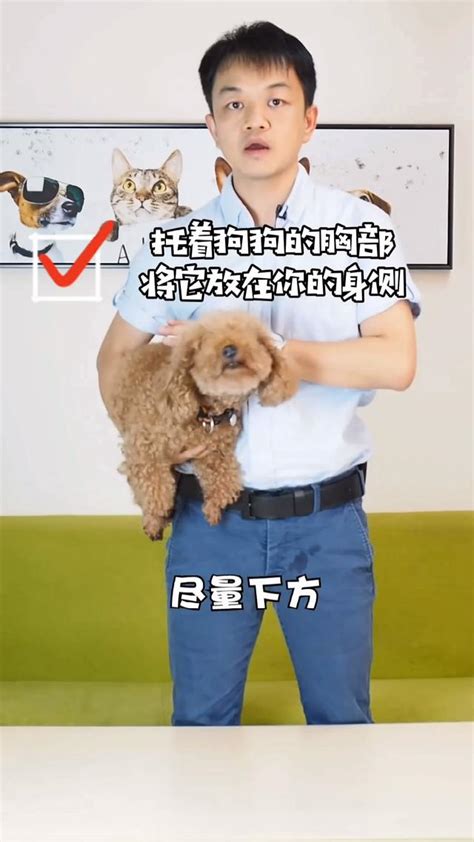 会对身体有什么影响吗,狗狗身上有包是什么样子的