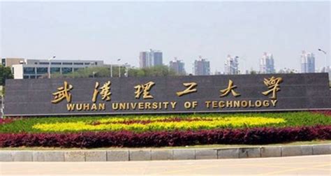 武汉499分能上什么大学,到武汉能报什么大学