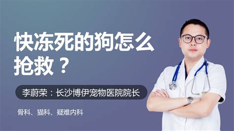 阿拉斯加能养多少年,养了一只阿拉斯加后