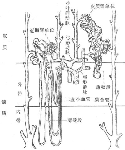 GB大还是G大,流量单位