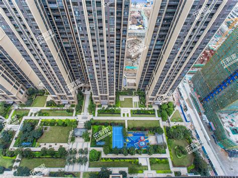 上海最近5年房价走势图,上海房价已疯涨