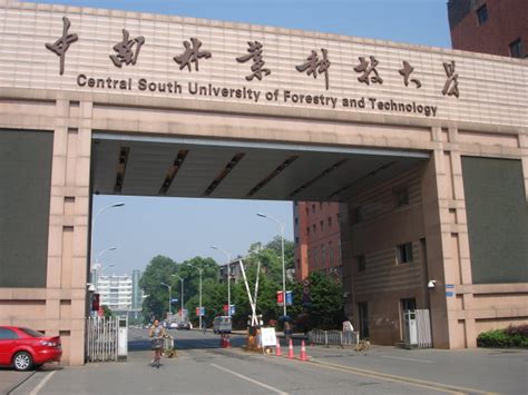 中南大学什么专业,中南大学实力怎么样