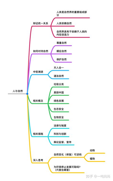 思维导图学写作文全40集 作文思维导图