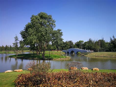 广安白云湖什么时候建设,冬日广安候鸟飞