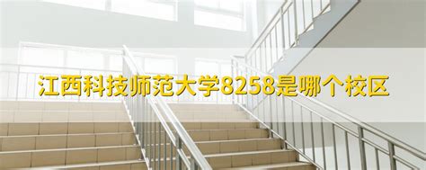 旅游管理类学什么区别,旅游管理专业前途如何