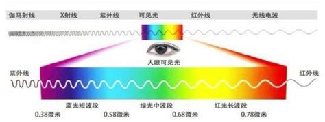 电脑购物下什么软件哪个好,电脑上看电视直播哪个软件好