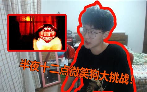 狗狗为什么半夜突然叫,狗狗半夜老是叫怎么办