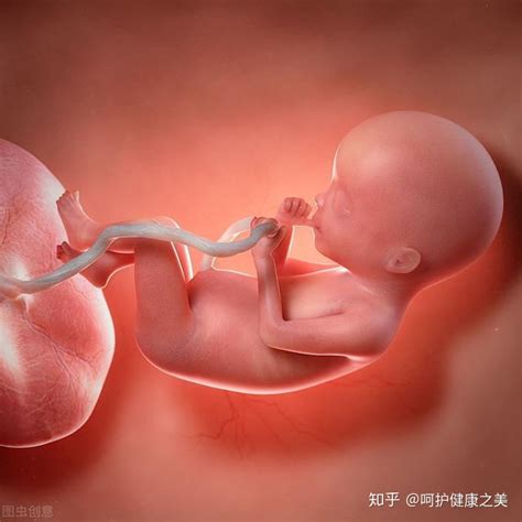为什么孕妇不能摸肚子,孕妈最好忍住少摸肚子