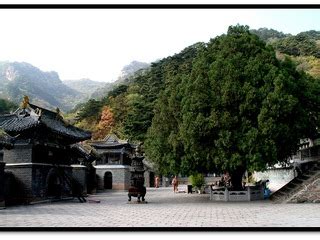 辽宁鞍山有什么项目,位于辽宁省鞍山市